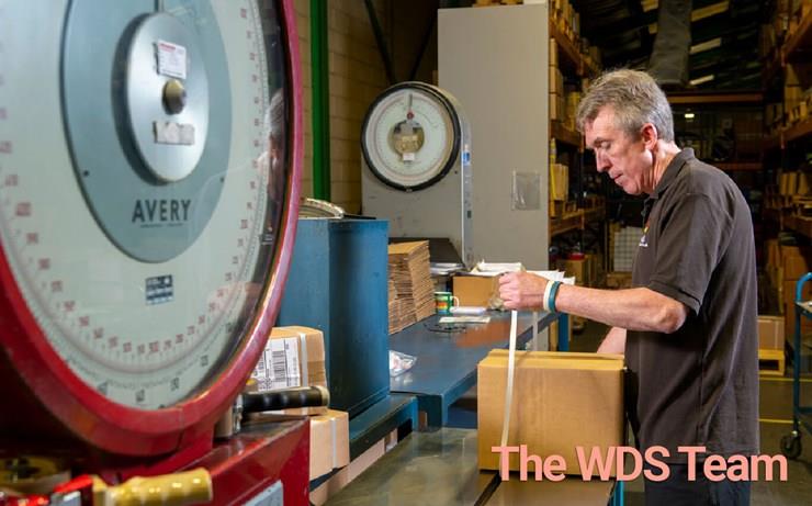 the wds team